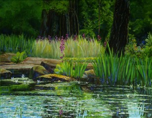 Pond and Forest Pond and Forest