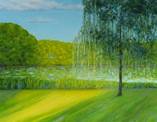 Willow in Sunlight Willow in Sunlight